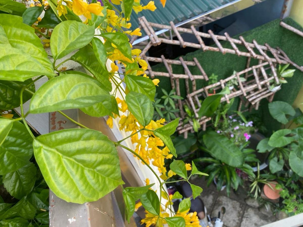 Seven Homestay Хюе Екстер'єр фото