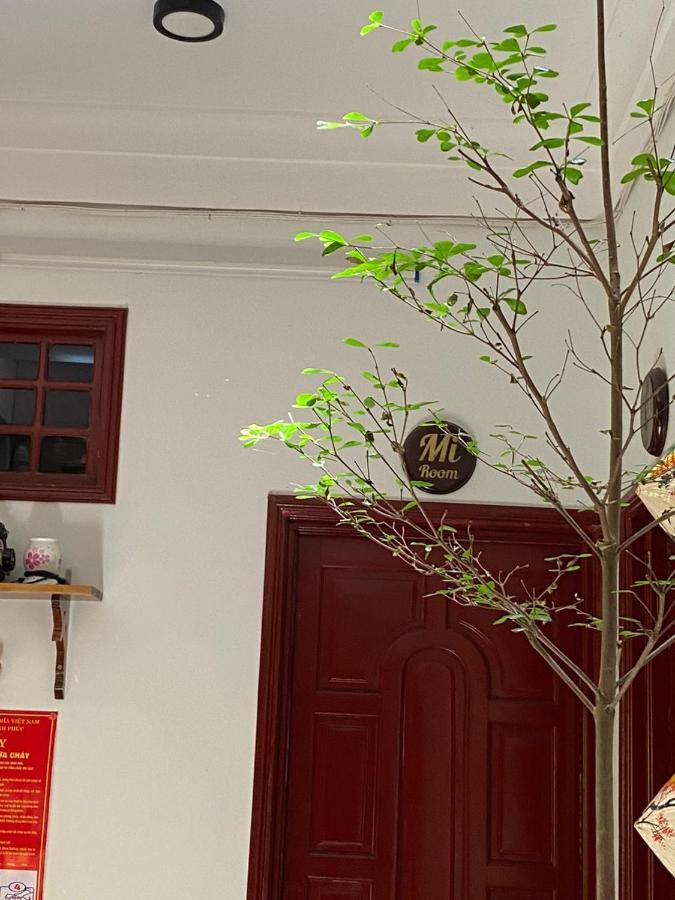 Seven Homestay Хюе Екстер'єр фото